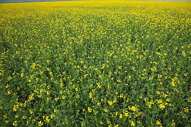 《虚幻Redux》发布新预告 展示全新互动与特效