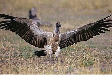 《无敌号》官方预告公布 2023年年内上线