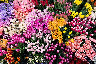 次世代来袭，《方舟生存进化》原生服务器玩家资料可存档托管